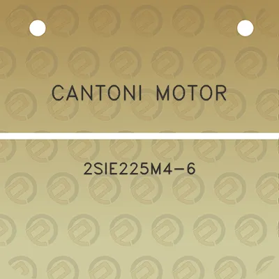 cantoni-motor-2sie225m4-6