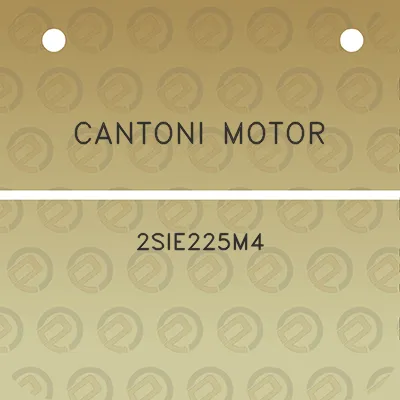 cantoni-motor-2sie225m4