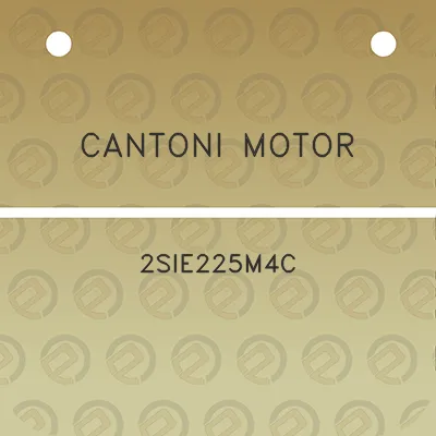 cantoni-motor-2sie225m4c