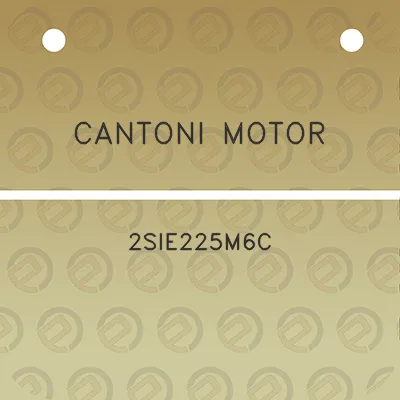 cantoni-motor-2sie225m6c