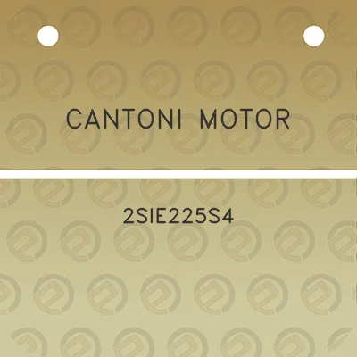 cantoni-motor-2sie225s4