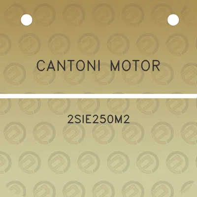 cantoni-motor-2sie250m2