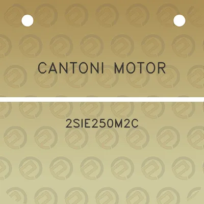 cantoni-motor-2sie250m2c