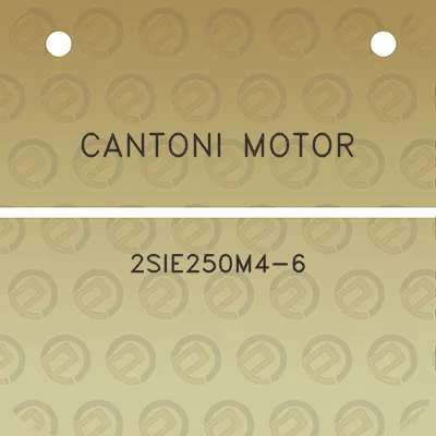 cantoni-motor-2sie250m4-6