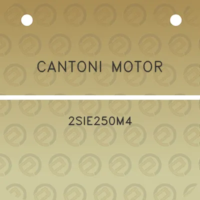 cantoni-motor-2sie250m4