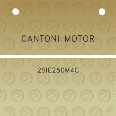 cantoni-motor-2sie250m4c