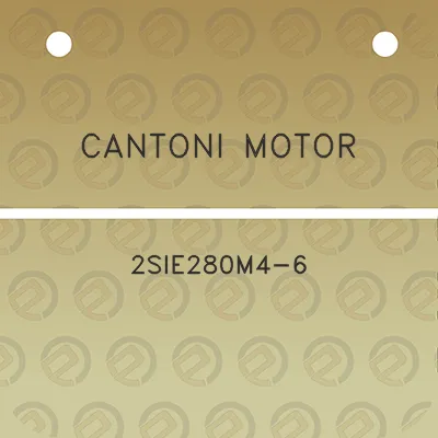 cantoni-motor-2sie280m4-6