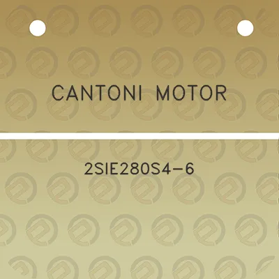 cantoni-motor-2sie280s4-6