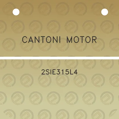 cantoni-motor-2sie315l4