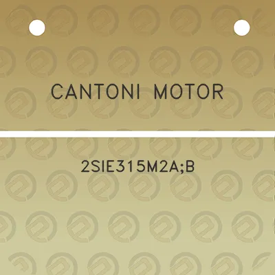 cantoni-motor-2sie315m2ab