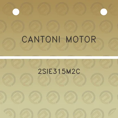 cantoni-motor-2sie315m2c