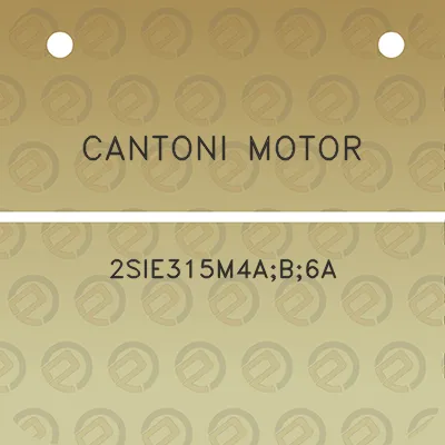 cantoni-motor-2sie315m4ab6a