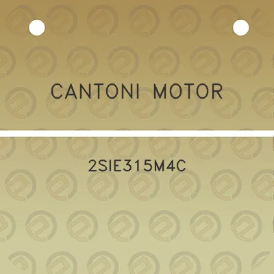 cantoni-motor-2sie315m4c