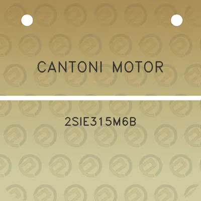 cantoni-motor-2sie315m6b