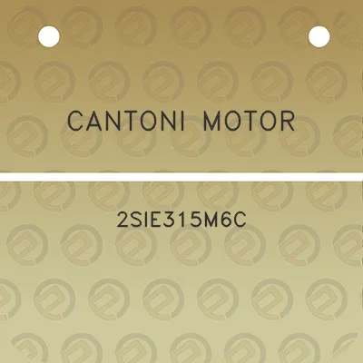 cantoni-motor-2sie315m6c