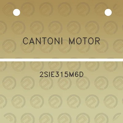 cantoni-motor-2sie315m6d