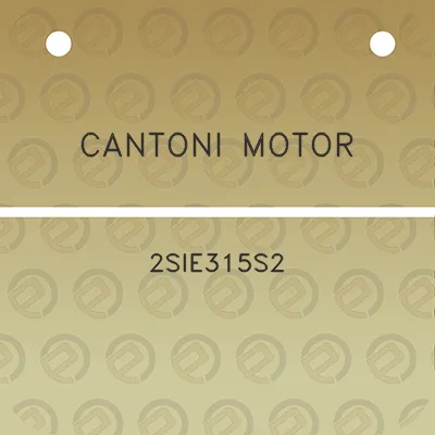 cantoni-motor-2sie315s2