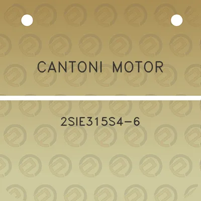 cantoni-motor-2sie315s4-6