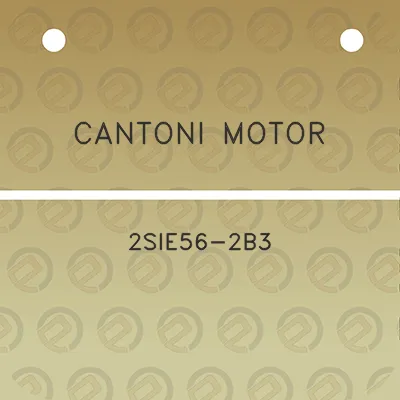 cantoni-motor-2sie56-2b3