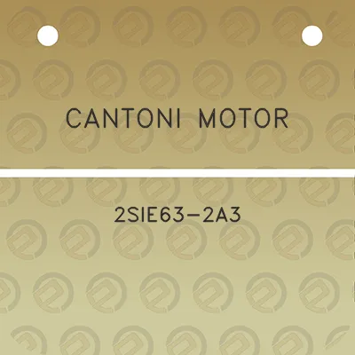 cantoni-motor-2sie63-2a3