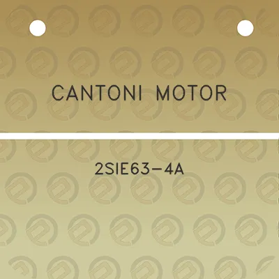 cantoni-motor-2sie63-4a