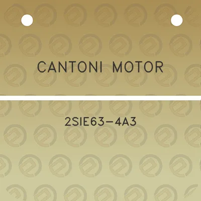 cantoni-motor-2sie63-4a3