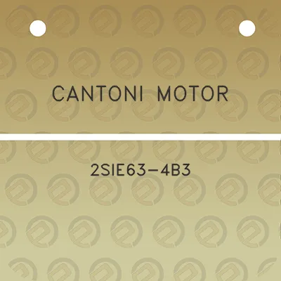 cantoni-motor-2sie63-4b3