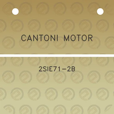 cantoni-motor-2sie71-2b