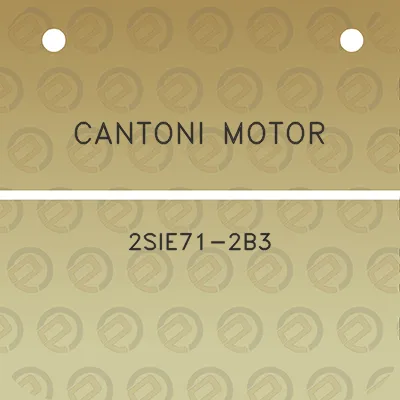 cantoni-motor-2sie71-2b3