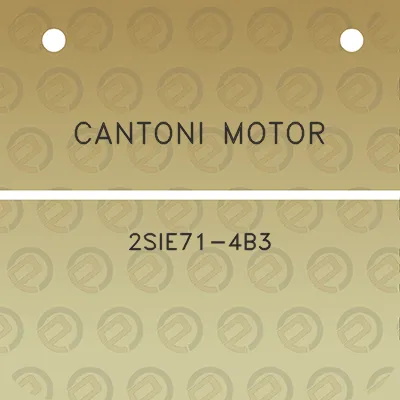 cantoni-motor-2sie71-4b3