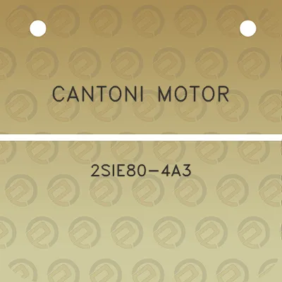 cantoni-motor-2sie80-4a3