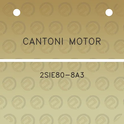 cantoni-motor-2sie80-8a3