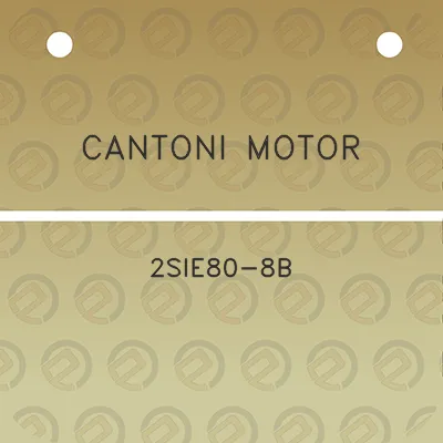 cantoni-motor-2sie80-8b