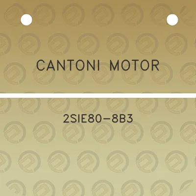 cantoni-motor-2sie80-8b3