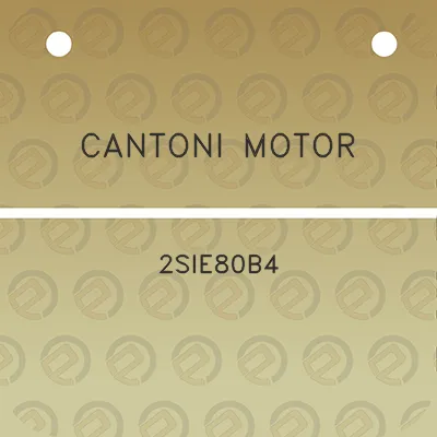 cantoni-motor-2sie80b4