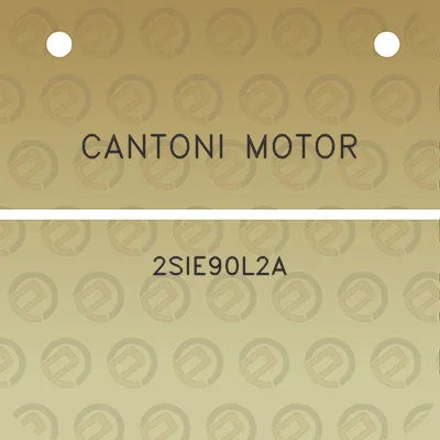 cantoni-motor-2sie90l2a