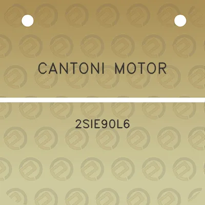 cantoni-motor-2sie90l6