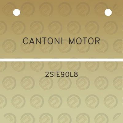 cantoni-motor-2sie90l8