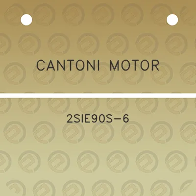 cantoni-motor-2sie90s-6