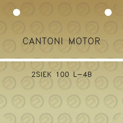 cantoni-motor-2siek-100-l-4b