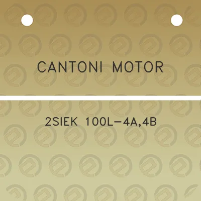 cantoni-motor-2siek-100l-4a4b