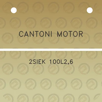 cantoni-motor-2siek-100l26