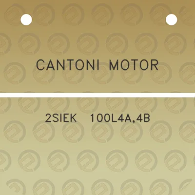 cantoni-motor-2siek-100l4a4b