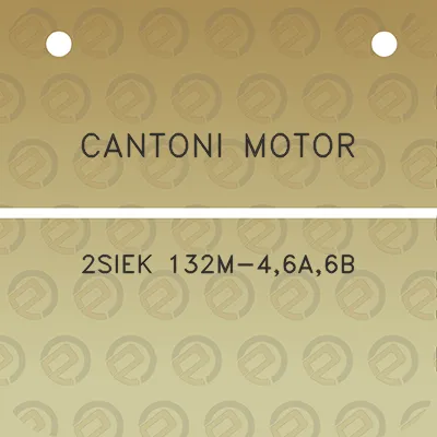 cantoni-motor-2siek-132m-46a6b