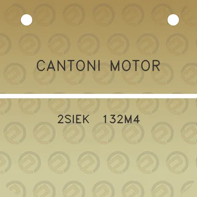 cantoni-motor-2siek-132m4