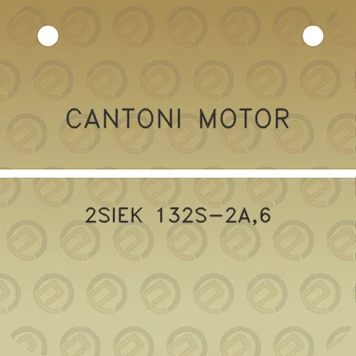 cantoni-motor-2siek-132s-2a6