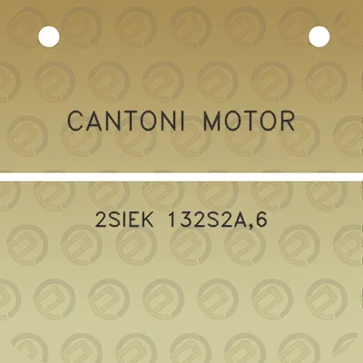 cantoni-motor-2siek-132s2a6