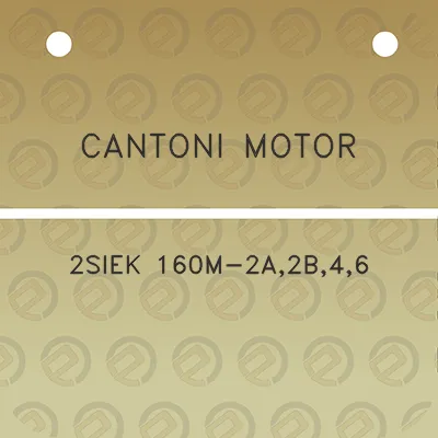 cantoni-motor-2siek-160m-2a2b46