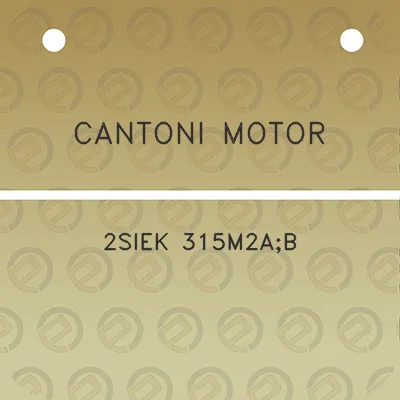 cantoni-motor-2siek-315m2ab