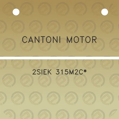 cantoni-motor-2siek-315m2c